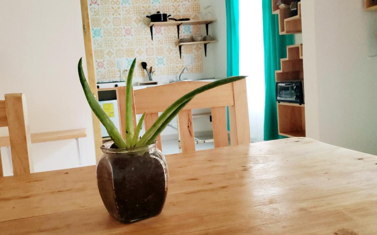 San Cristóbal de Las Casas Kukul'Ik Tapancos 아파트 외부 사진
